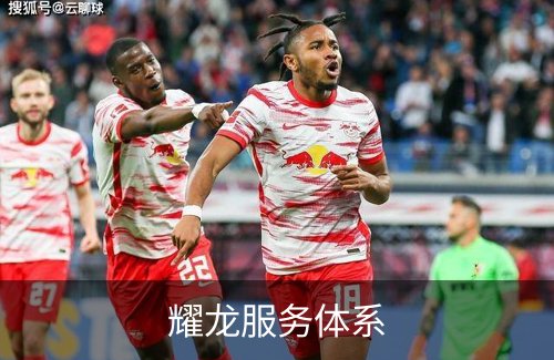 耀龙服务体系介绍